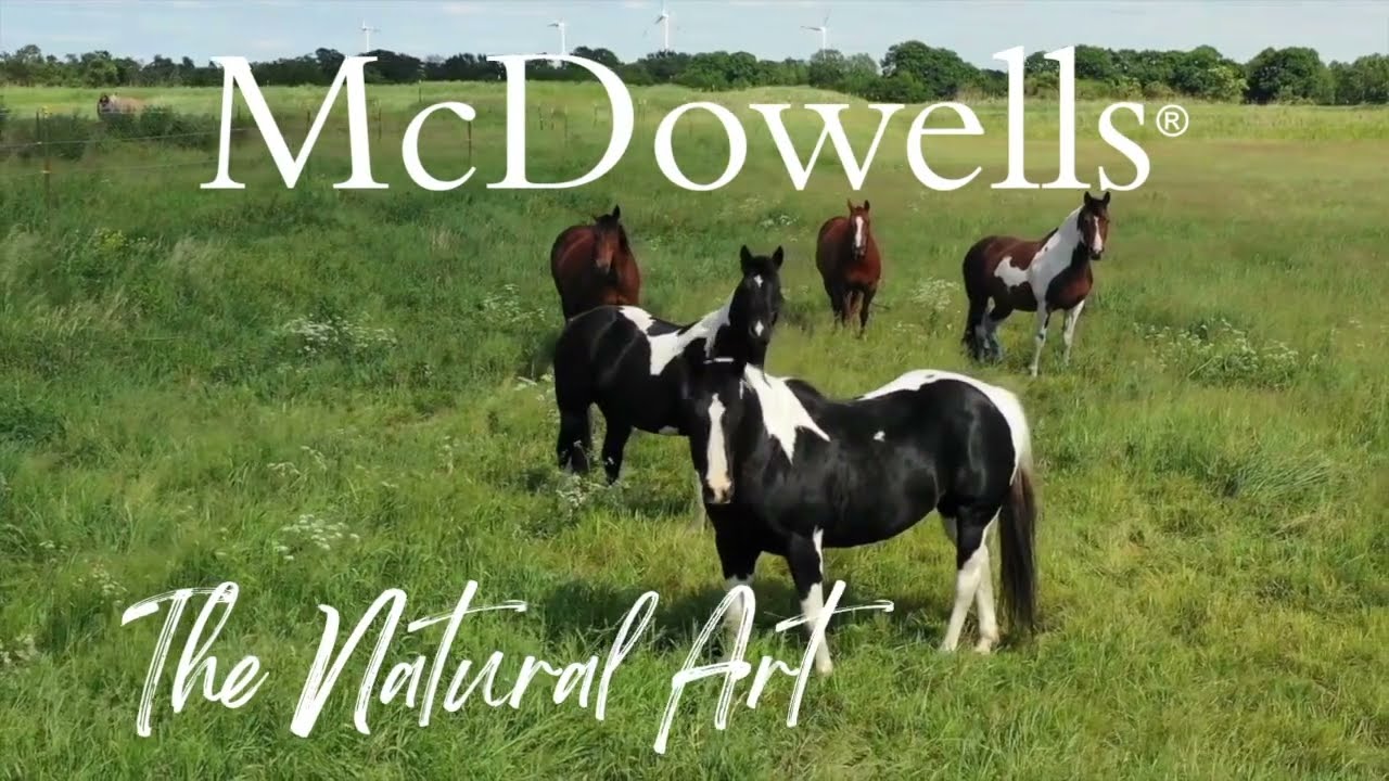 Melanomas in Horses 🐴 Natural Support, Herbs & What You Need to Know #melanoma #horsehealth #equine