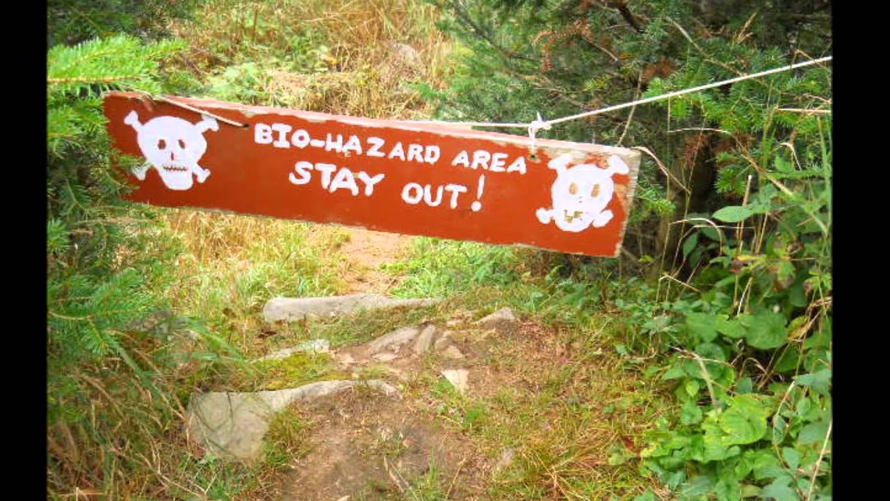 Appalachian Trail Loner 2015 Part 5 Gear Bigelows Maine