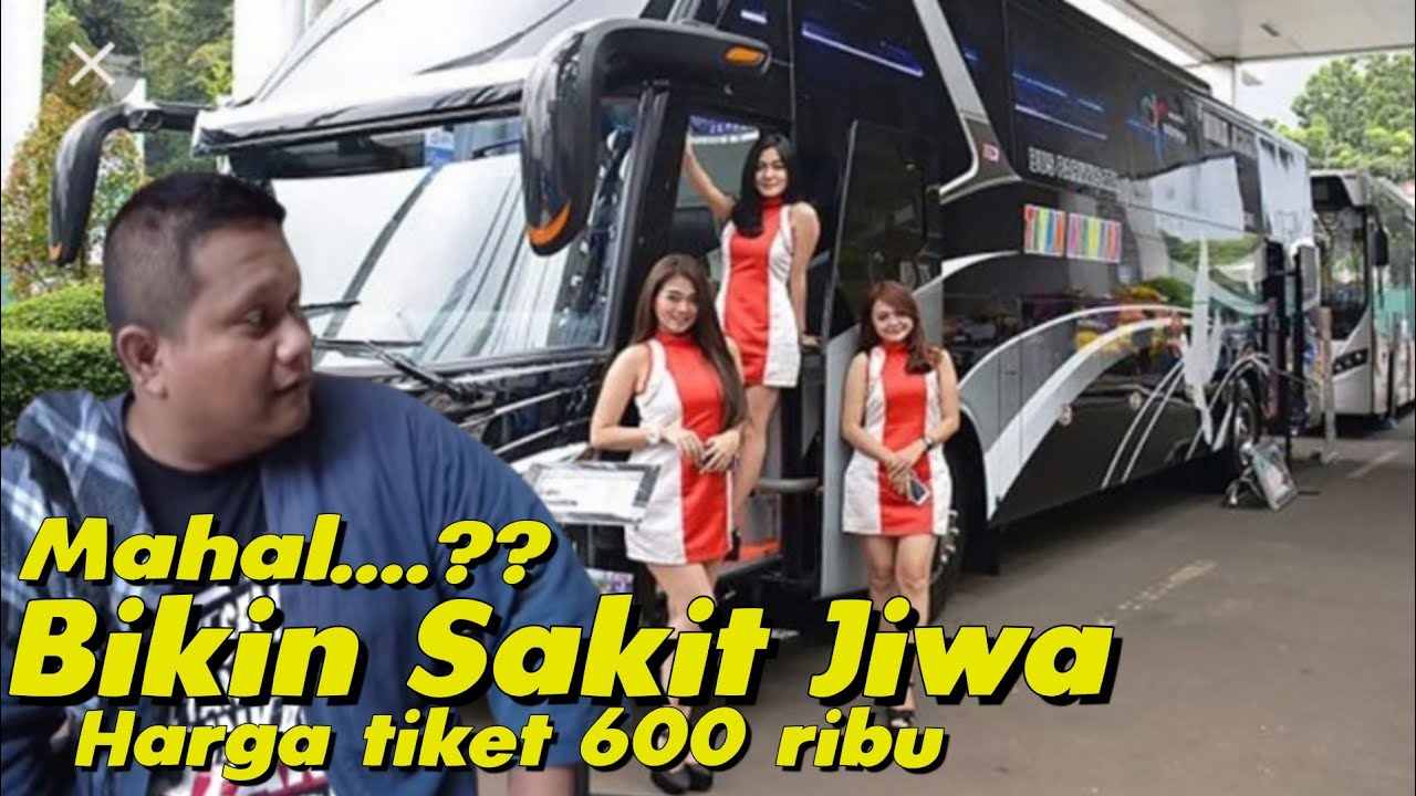 PALING MAHAL TIKET BUS INI ⁉️Apakah Laku,yuk kita grebek