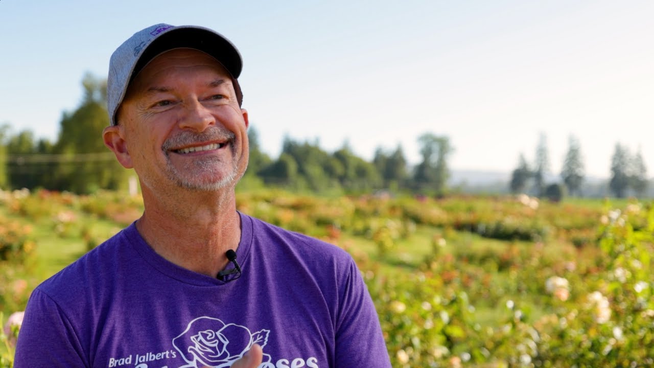 Brad Jalbert Roses Debut in the USA &ndash; Exclusive Interview with the Breeder