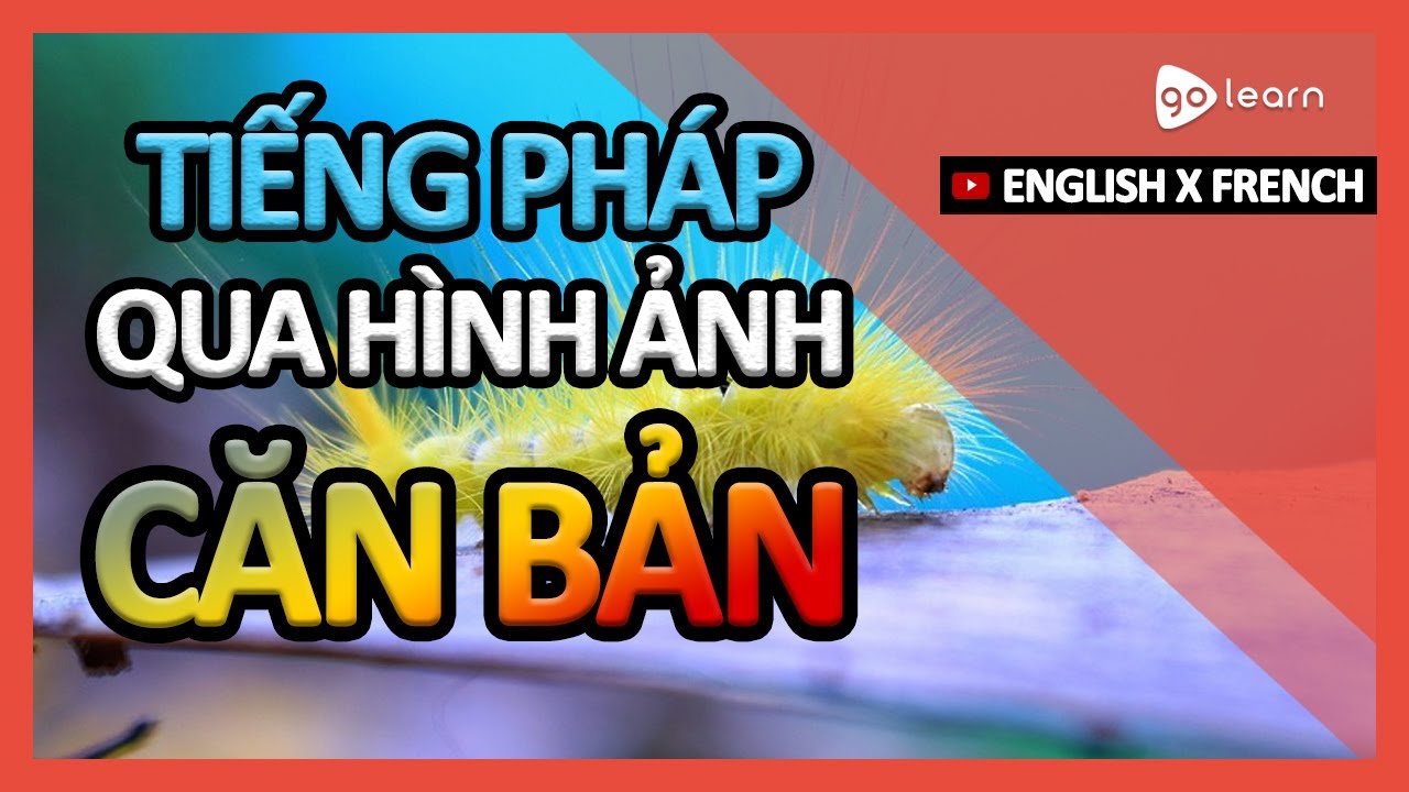 Học Tiếng Pháp Qua Hình Ảnh |Từ Vựng Tiếng Pháp Căn Bản | Golearn