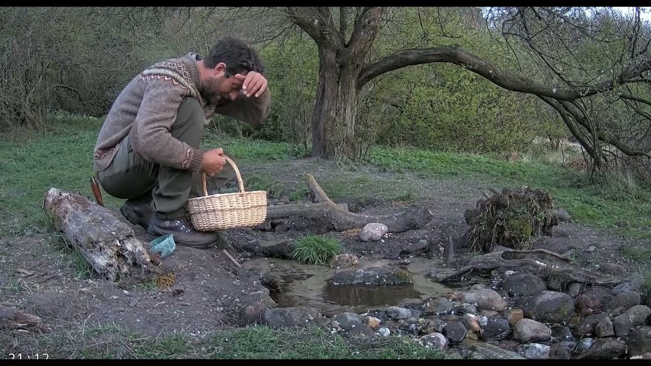 Morten Meets A Badger