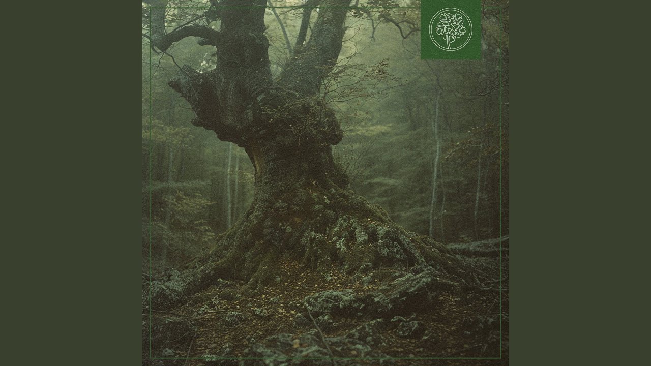 Deep in the Woods
