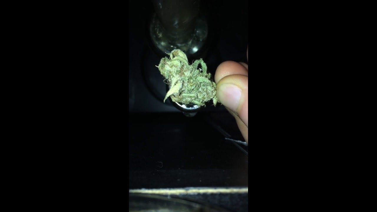 Some Fresh Ak47 Cannabis