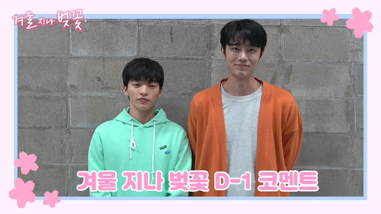 【겨울지나벚꽃】❄🌸 D-1 코멘트