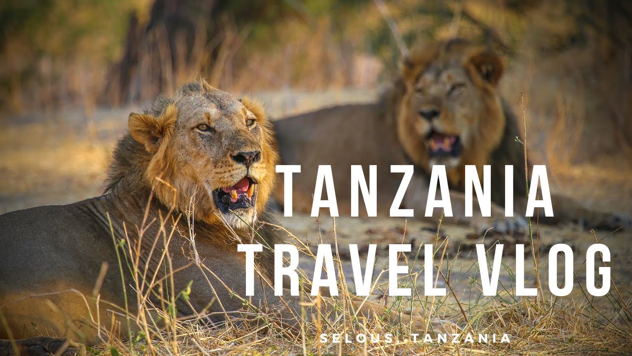 Tanzania, Africa Travel Vlog 1 of 4 - A Trip Worth £12,000!