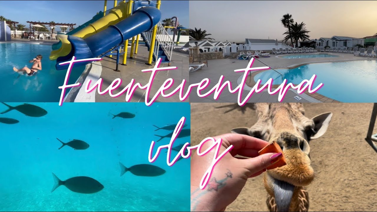 Caleta Dorada Fuerteventura holiday vlog