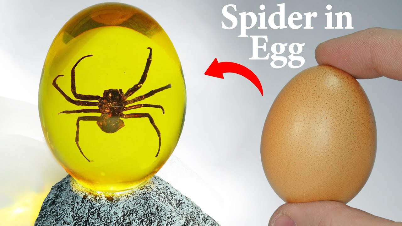 Making Spider EGG / Jurassic Park / RESIN ART