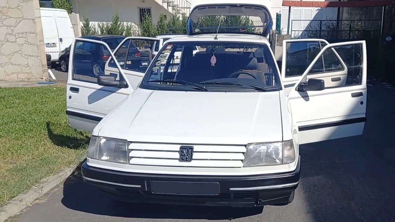 Vista PORMENORIZADA do Peugeot 309