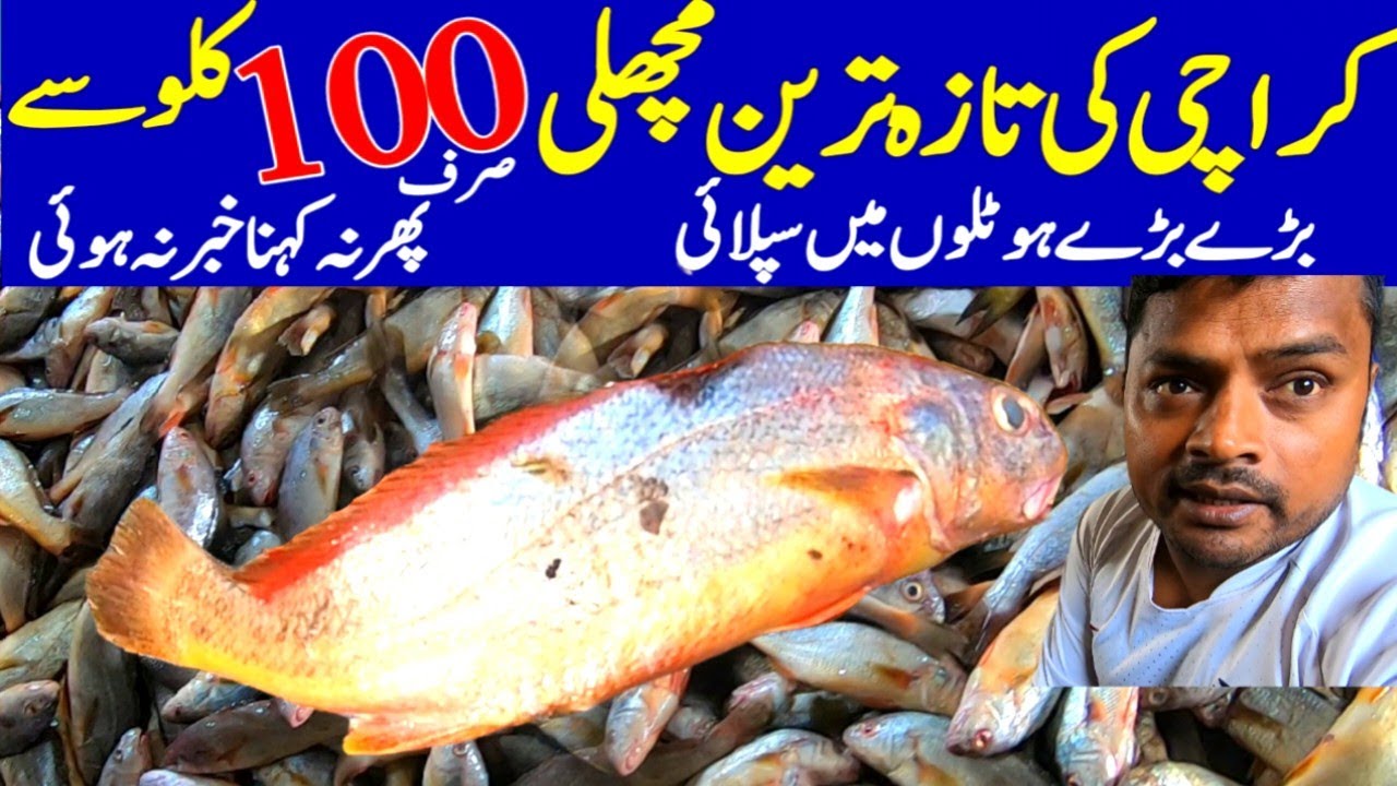 Karachi Cheapest Fish Market Ibrahim Hydri Current Rate Update سو روپے کلو مچھلی @focus with fahim