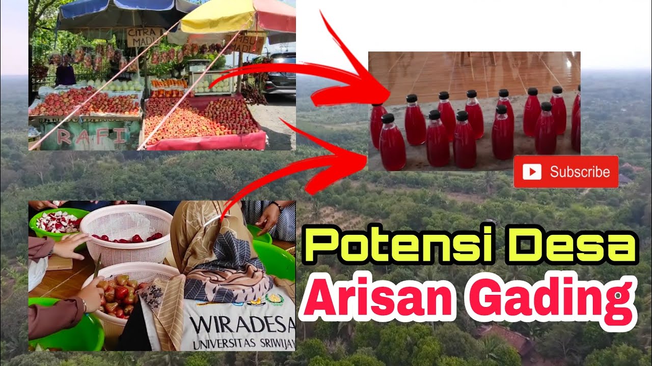 OI#13 Asal Usul Nama Desa dan Profesi Warga Desa Arisan Gading Kab Ogan Ilir