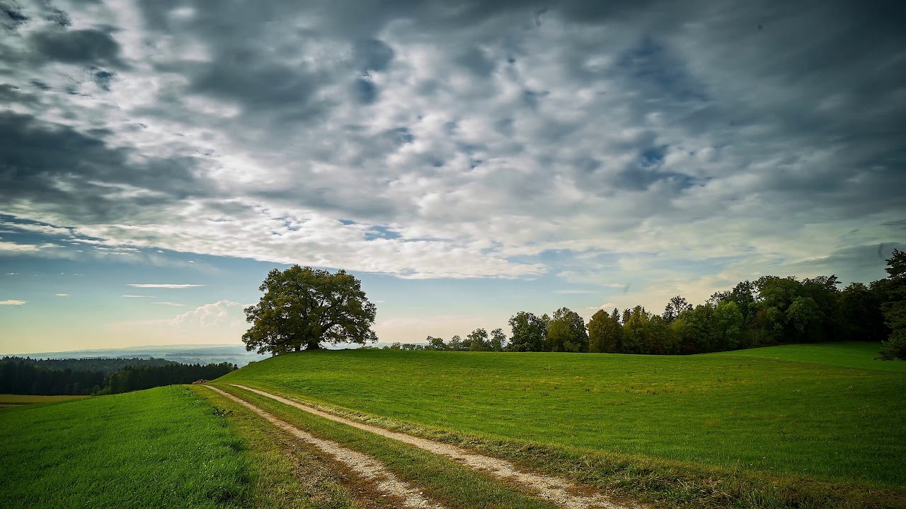 Tree Clouds & Greenry | Free stock footage | Free HD Videos - no copyright