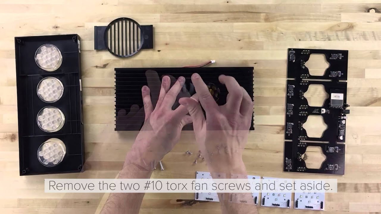 Hydra 52 - disassembly and reassembly
