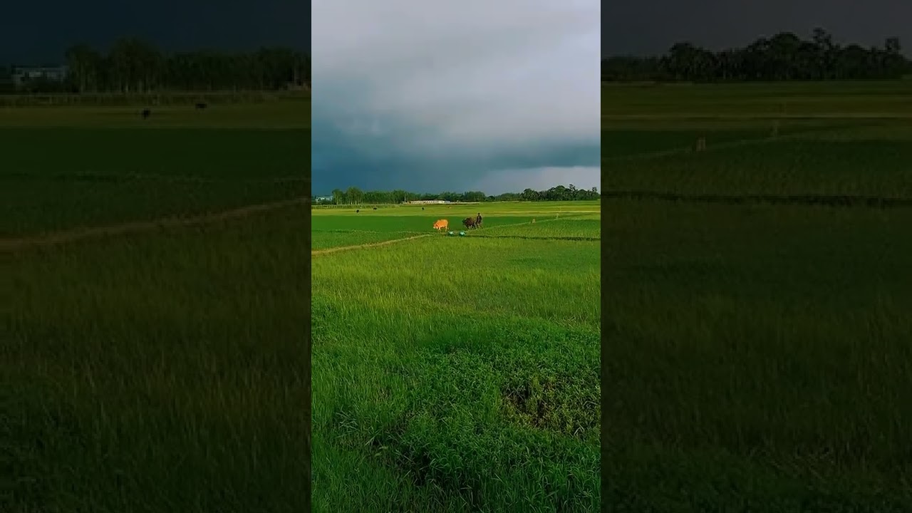 Before the Rain ♥