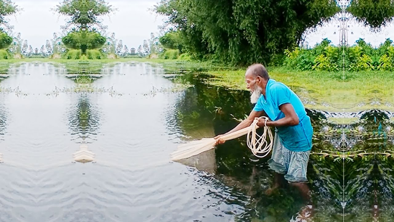 Amazing Cast Net Fishing - New Fishing Video - Traditional Village Fishing