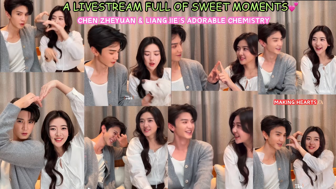 Chen Zheyuan & Liang Jie’s adorable chemistry and non stop laughter in their livestream💕😂 [Eng Sub]
