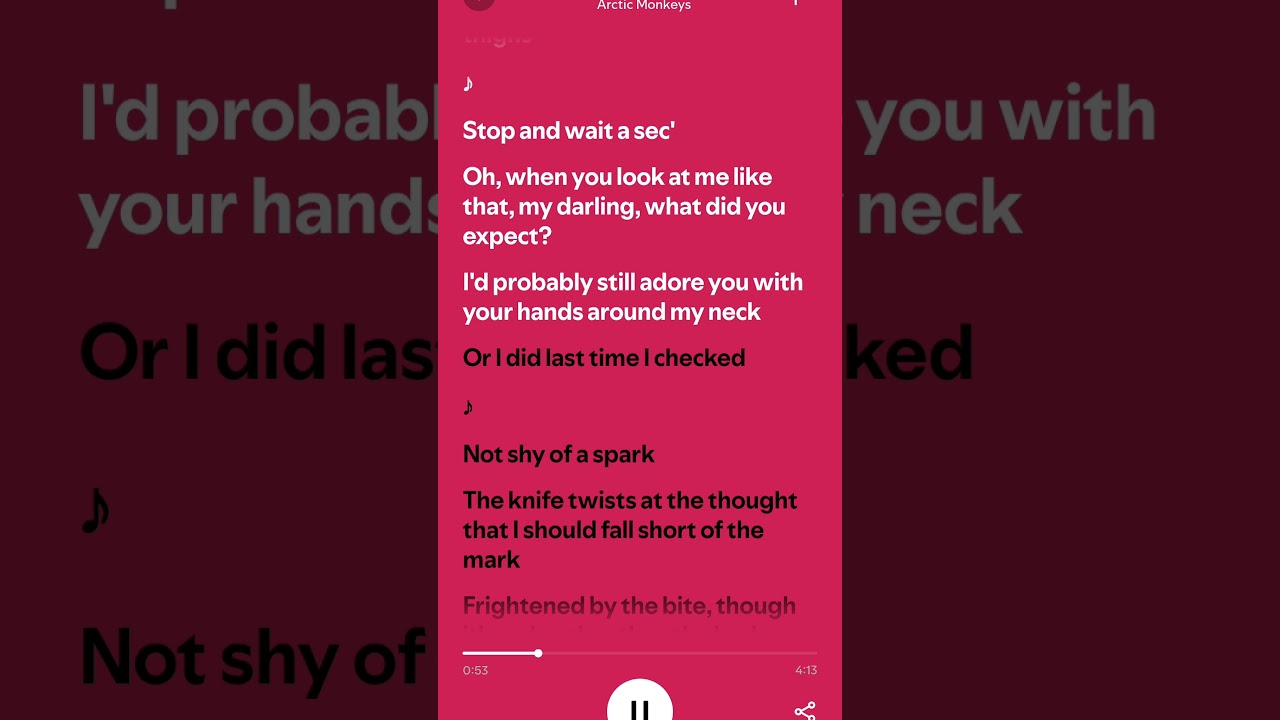 505- Arctic Monkeys