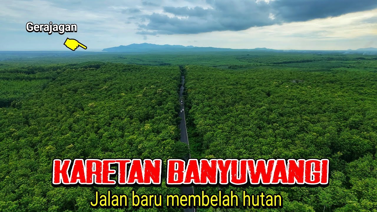 JALAN MULUS DI HUTAN KARETAN - grajagan  Banyuwangi sekarang