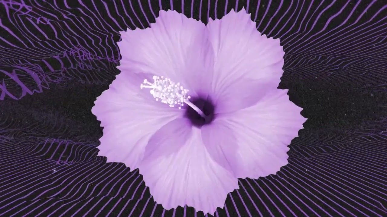 VOB  (Voice of Baceprot) - [NOT] PUBLIC PROPERTY (Official Lyric Video)