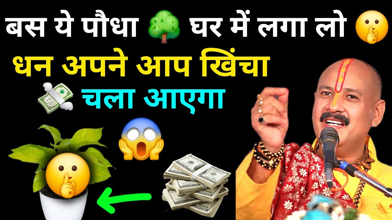 “बस ये पौधा घर में लगा लो, धन अपने आप खिंचा चला आएगा | 