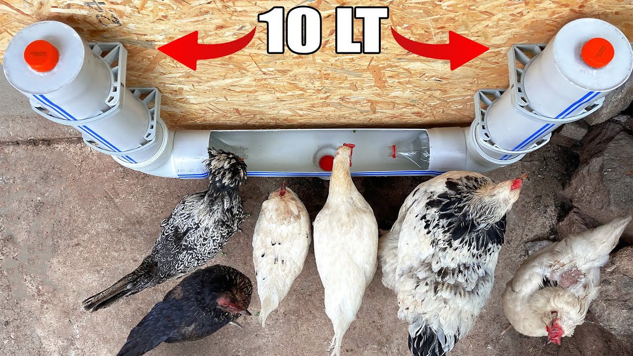 Sıradışı Fikir | Pvc Borulardan 10 Litre Tavuk Suluk Yapımı