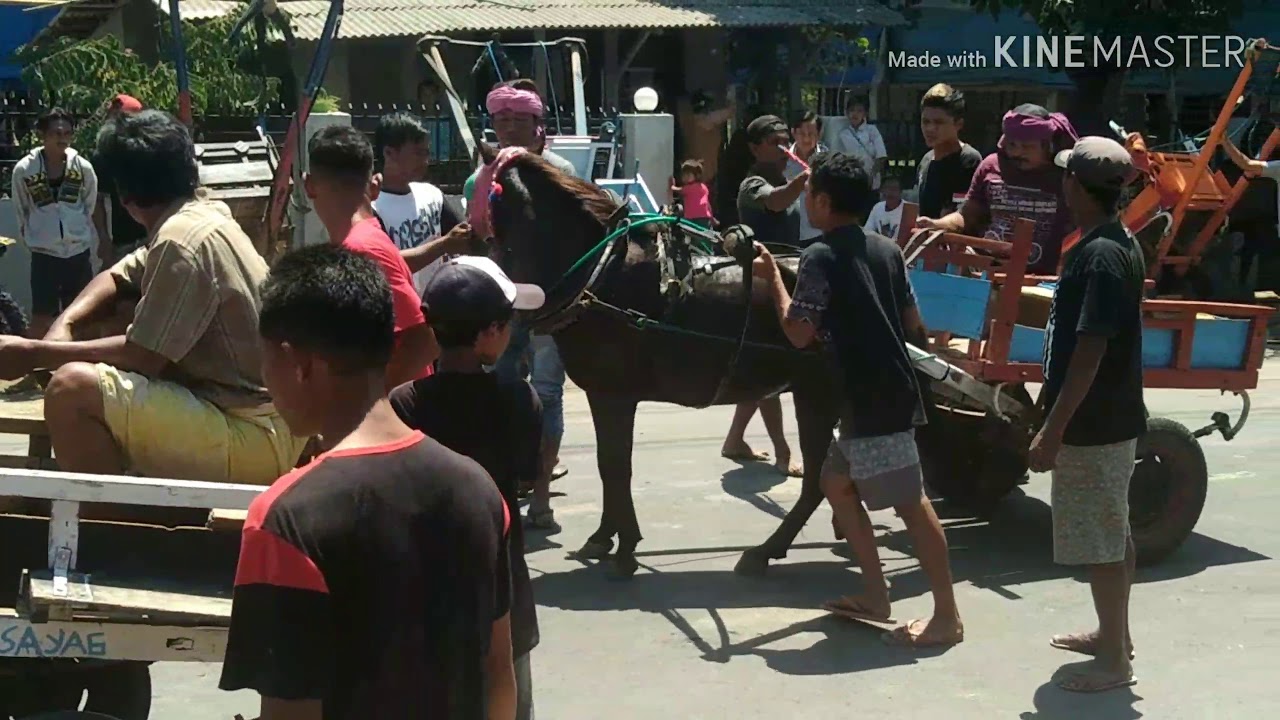 BALAP BECAK //BALAP CIDOMO // MASBAGIK TIMUR