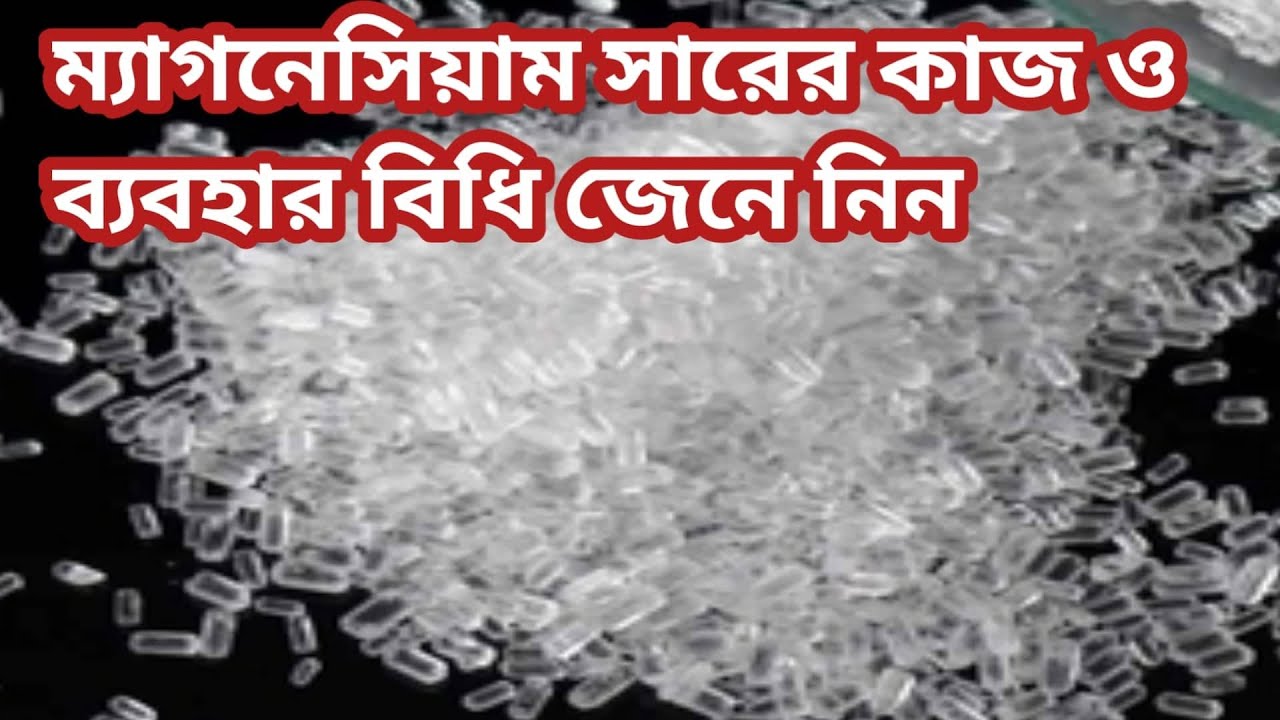 ম্যাগনেসিয়াম সারের কাজ ও ব্যবহারবিধি জেনে নিন,working and usage of magnesium fertilizer#ম্যাগনেসিয়াম