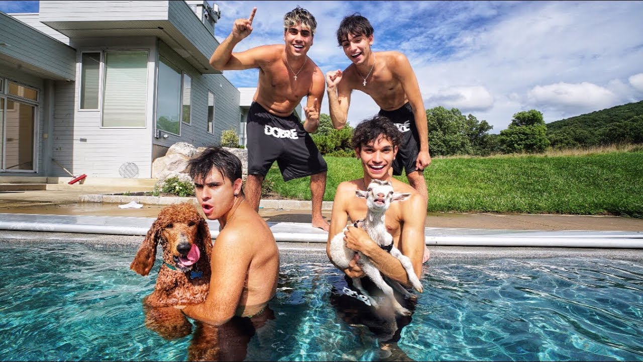 DOG VS GOAT SWIMMING COMPETITION!