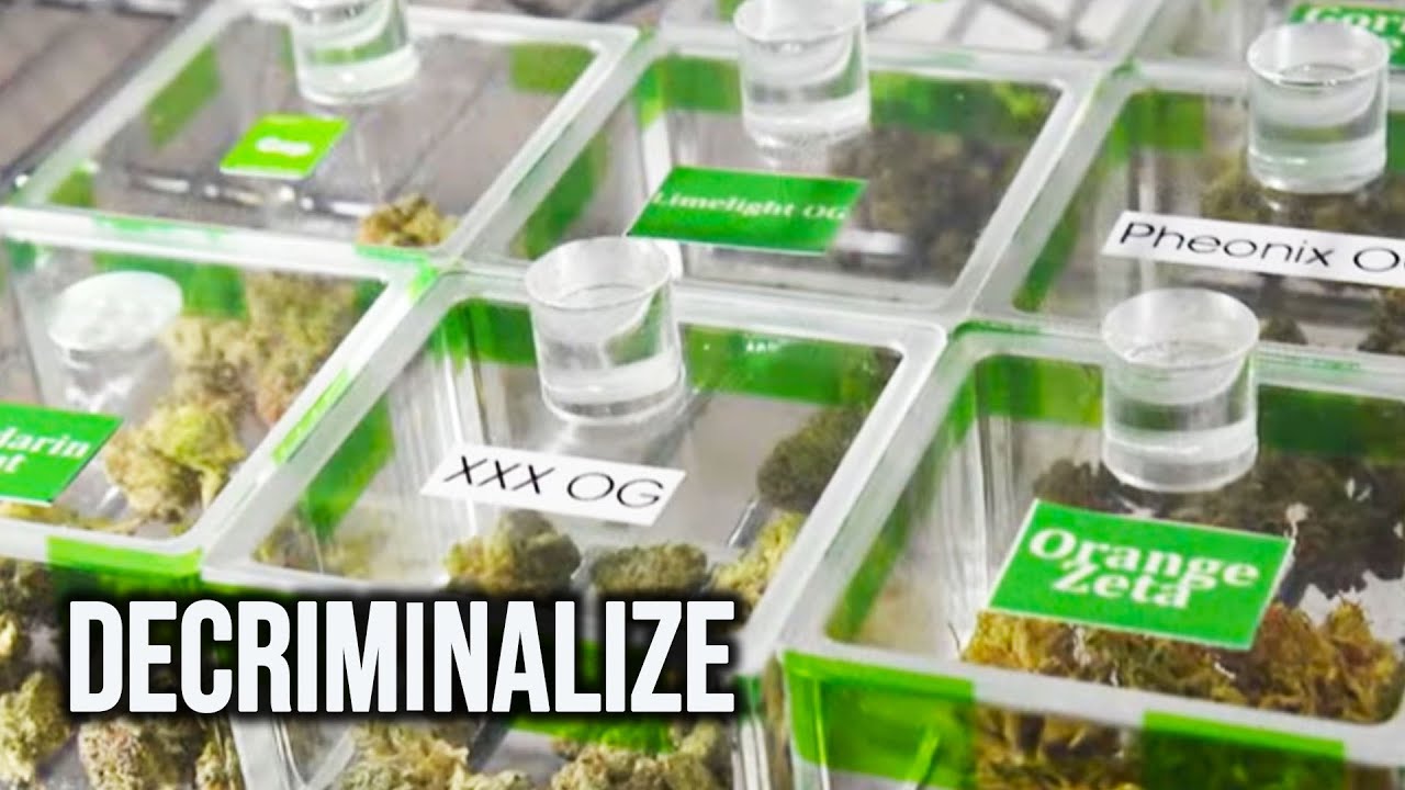 Drug Decriminalization Study DEBUNKS Agonizing Right-Wing Claims