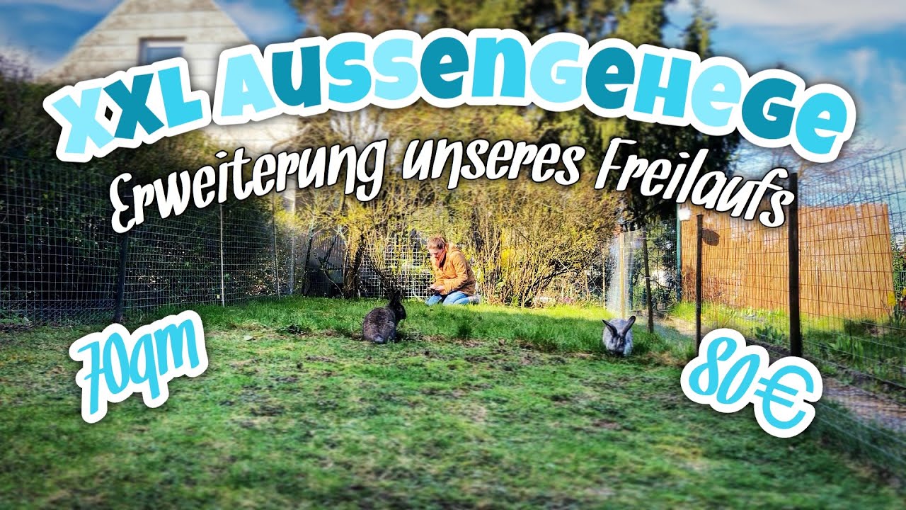 XXL Aussengehege | Freilauf vergrößern