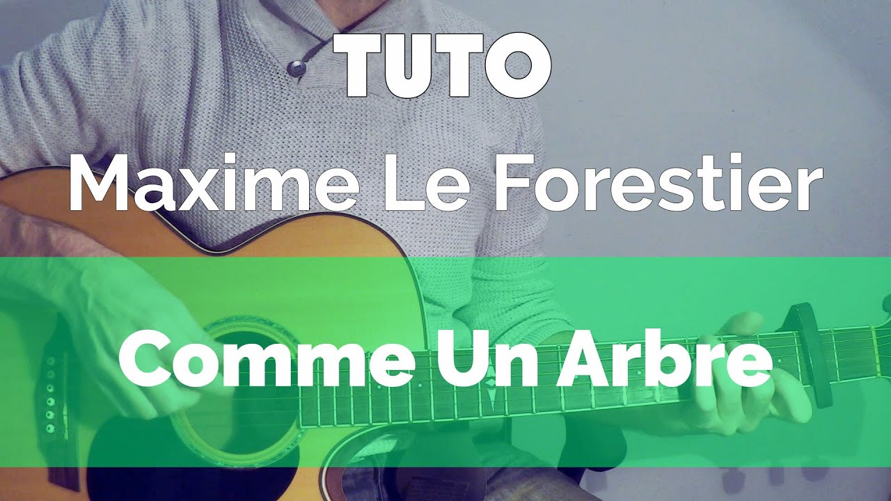 Chanson guitare facile - Maxime Le Forestier ( Comme Un Arbre ) - Tuto Débutant