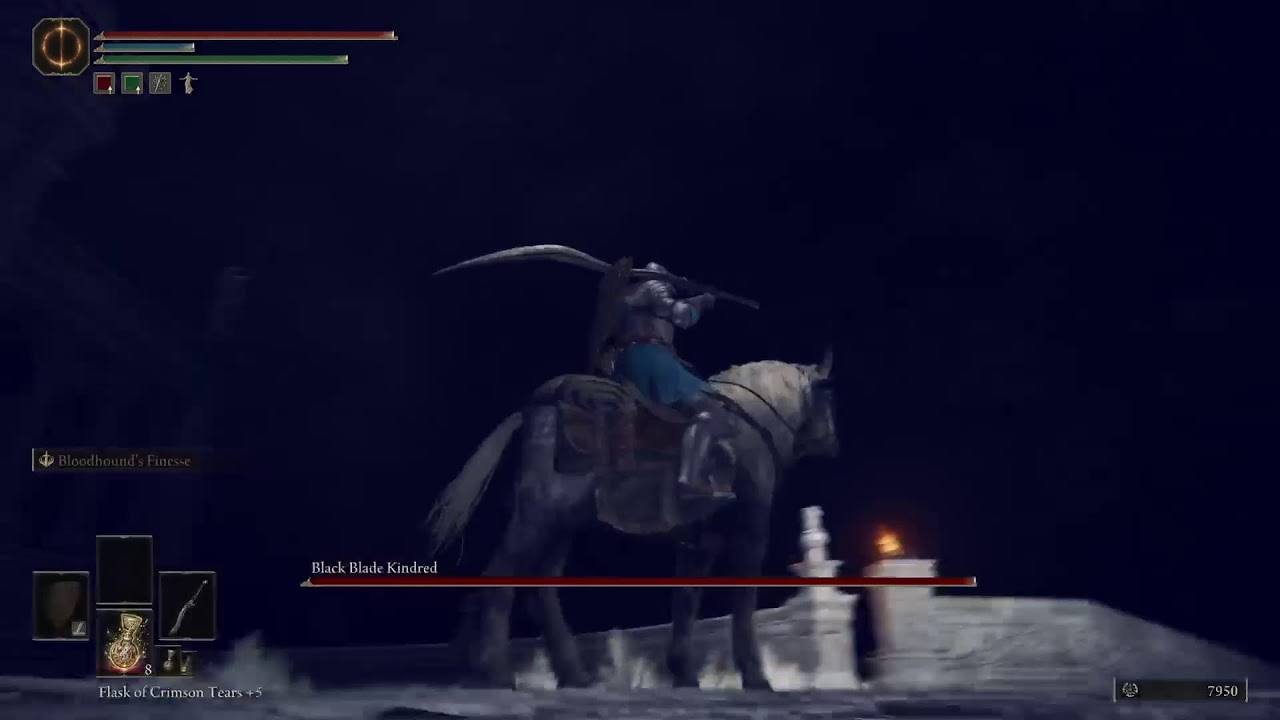 FIghting the last boss in ELDEN RING