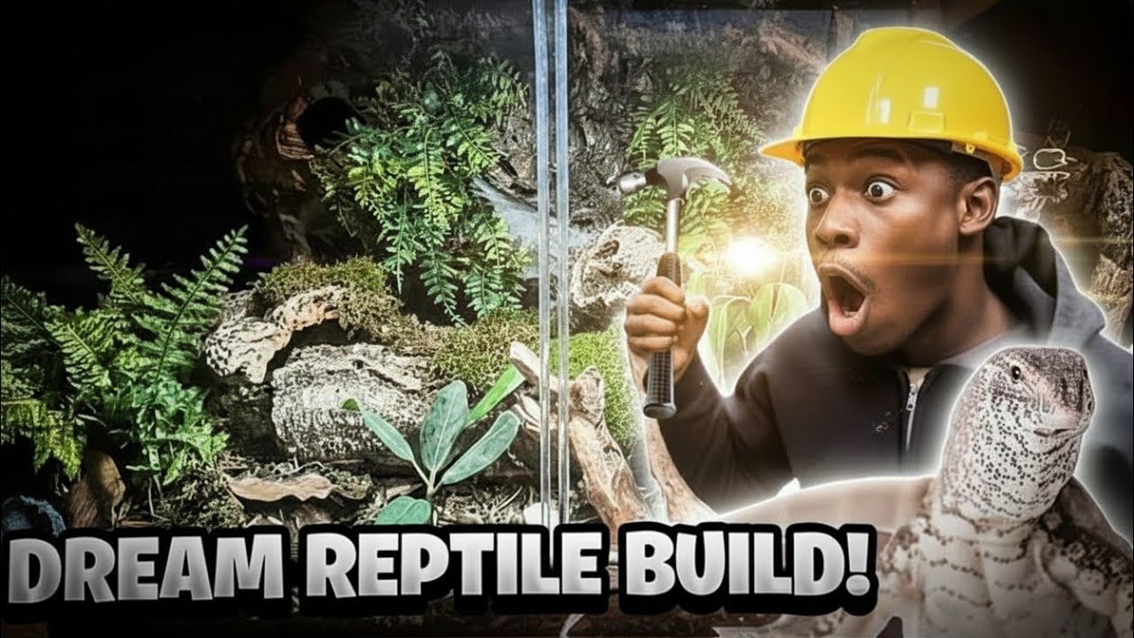 BUILDING MY DREAM REPTILE ENCLOSURE |Nile Monitor|