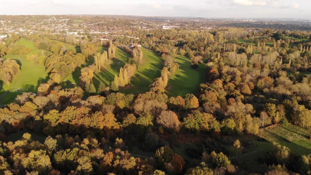Ruislip Woods, United Kingdom - DJI Mavic Air