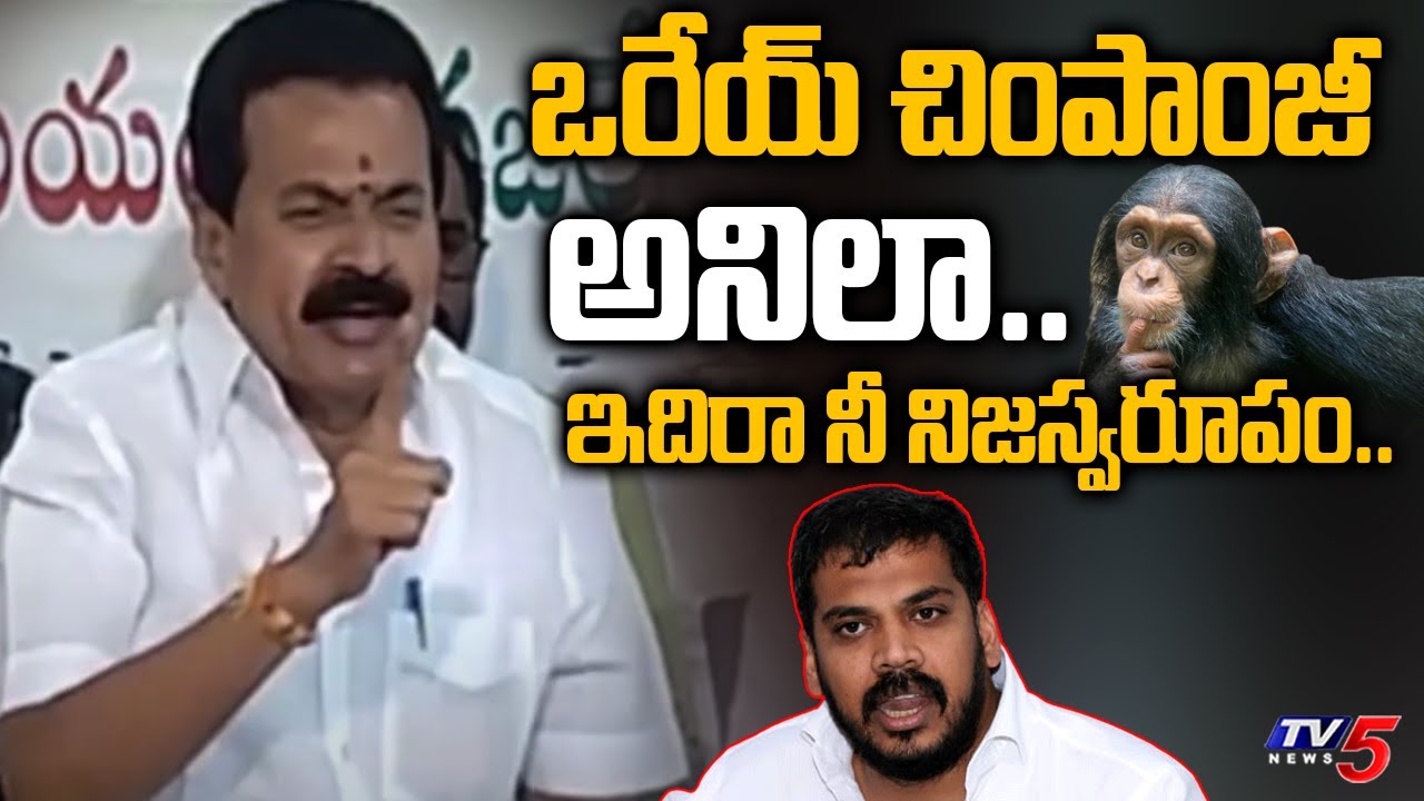 ఒరేయ్ చింపాంజీ అనిలా..|Nellore TDP Kotamreddy Strong Reply To Anil Kumar Yadav| Nara Lokesh|CM Jagan