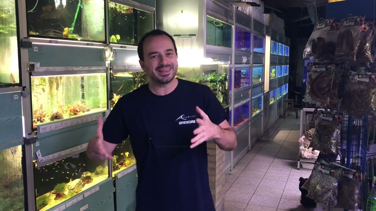 Petit aperçu de quelques poissons rentrés récemment !