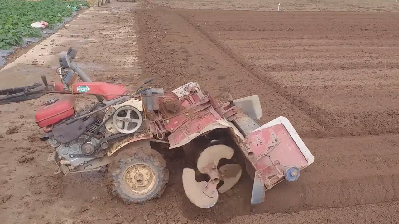 cao thủ gặp cao thủ