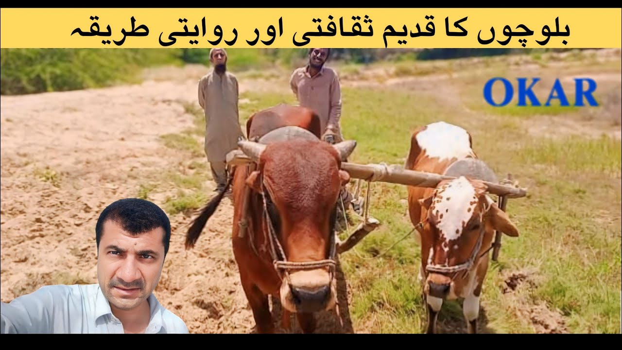 Balochi Culture | Dagare Shomag | Balochi Traditional🔥Kech_e_Dastan