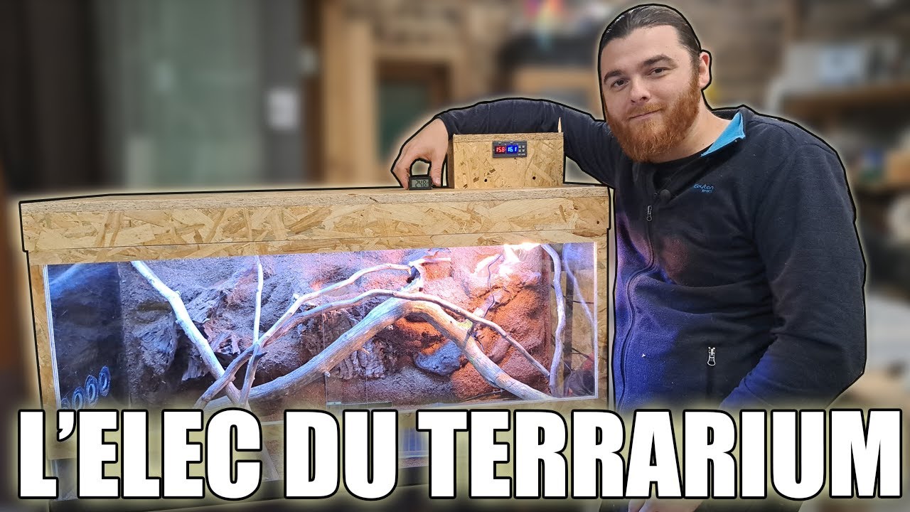 Lampe, Chauffage, Thermostat, pour Terrarium !