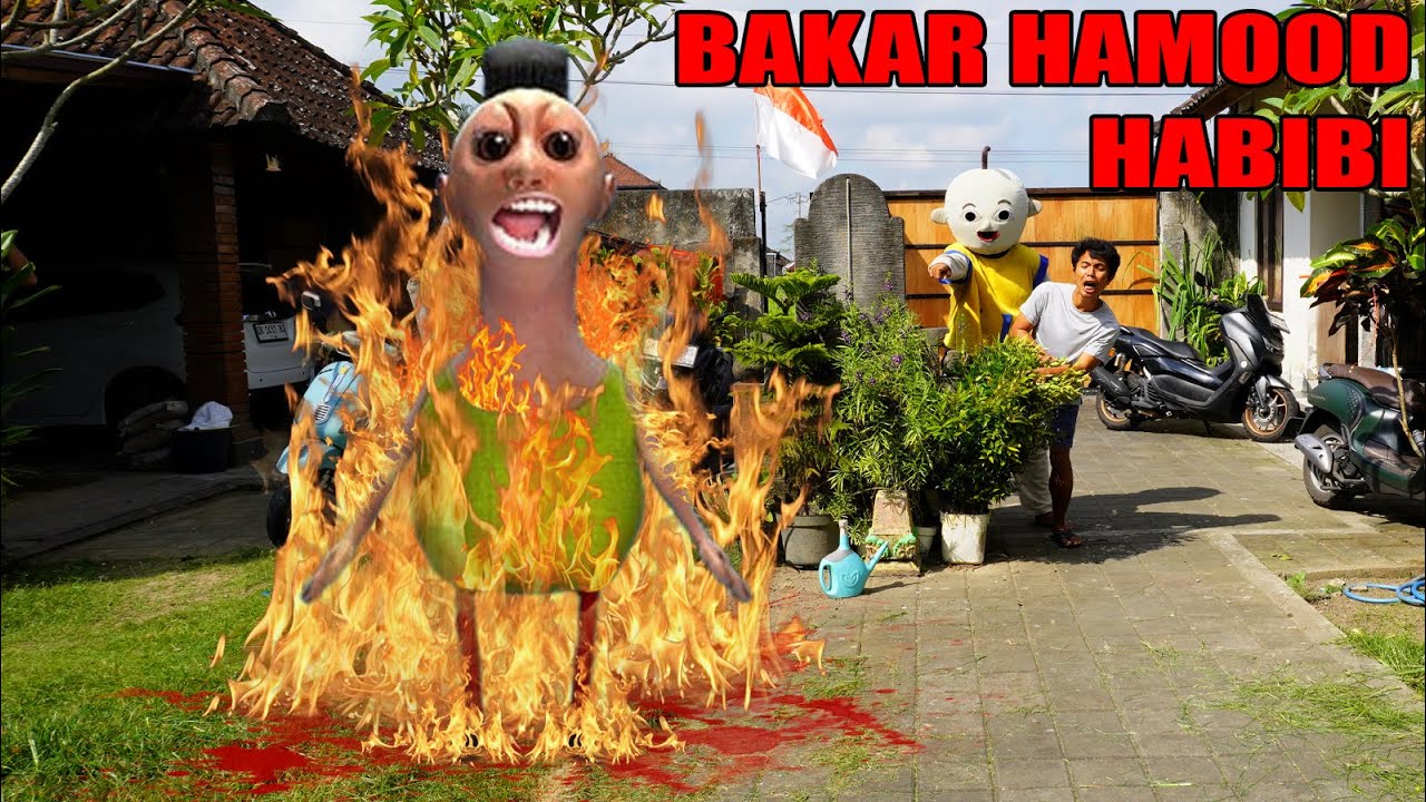 BAKAR HAMOOD HABIBI?!