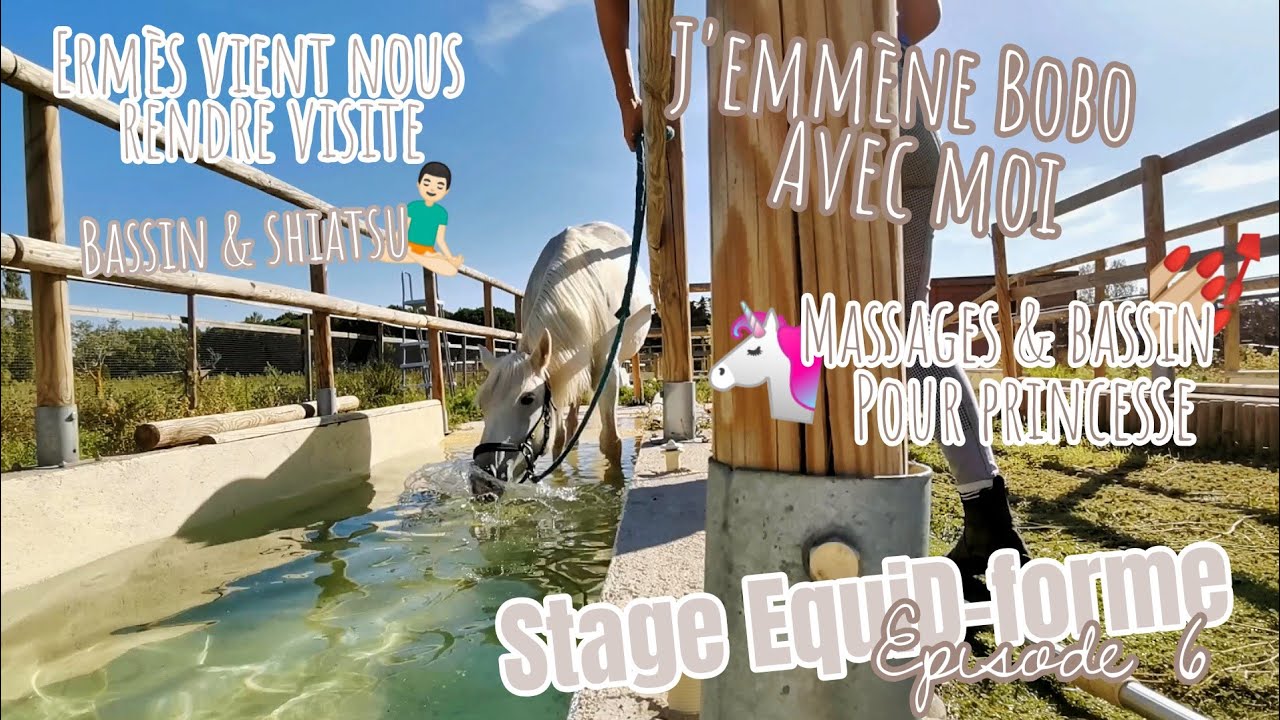 VLOG EQUID-FORME — ÉPISODE 6.