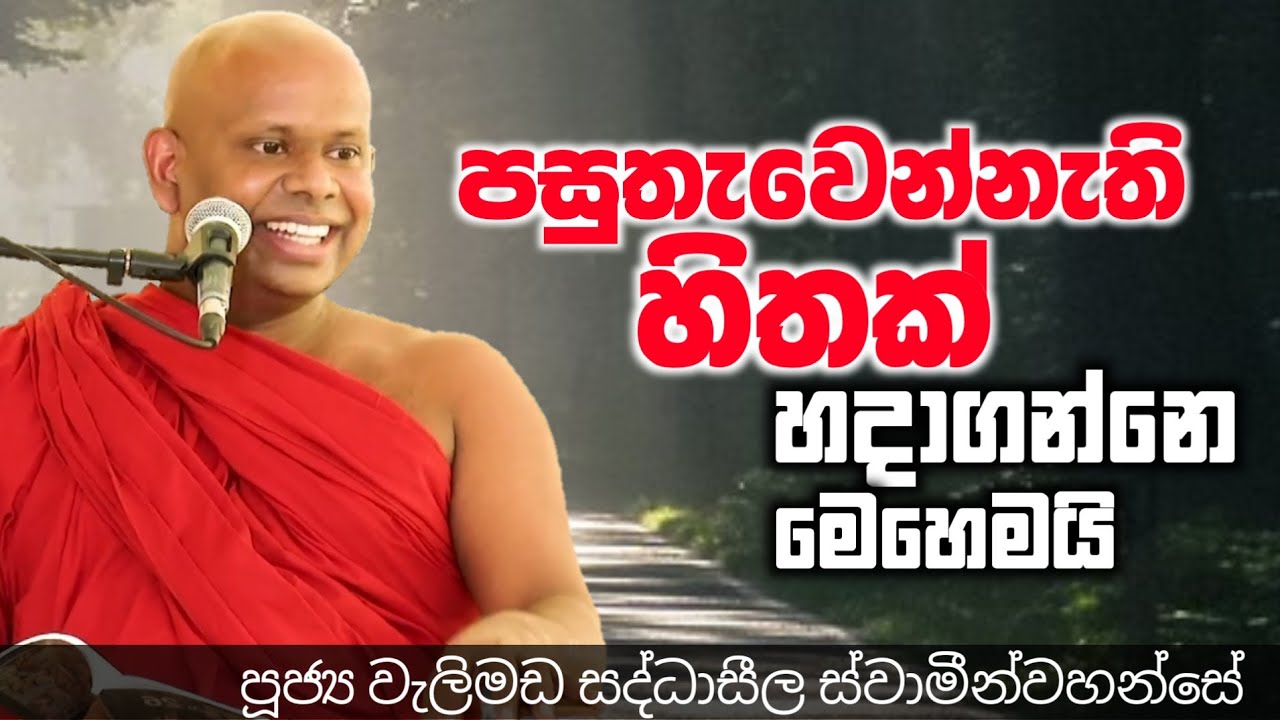 පසුතැවෙන්නැති හිතක් හදාගන්නෙ මෙහෙමයි/ven welimada saddhaseela thero/පූජ්‍ය වැලිමඩ සද්ධාසීල හිමි