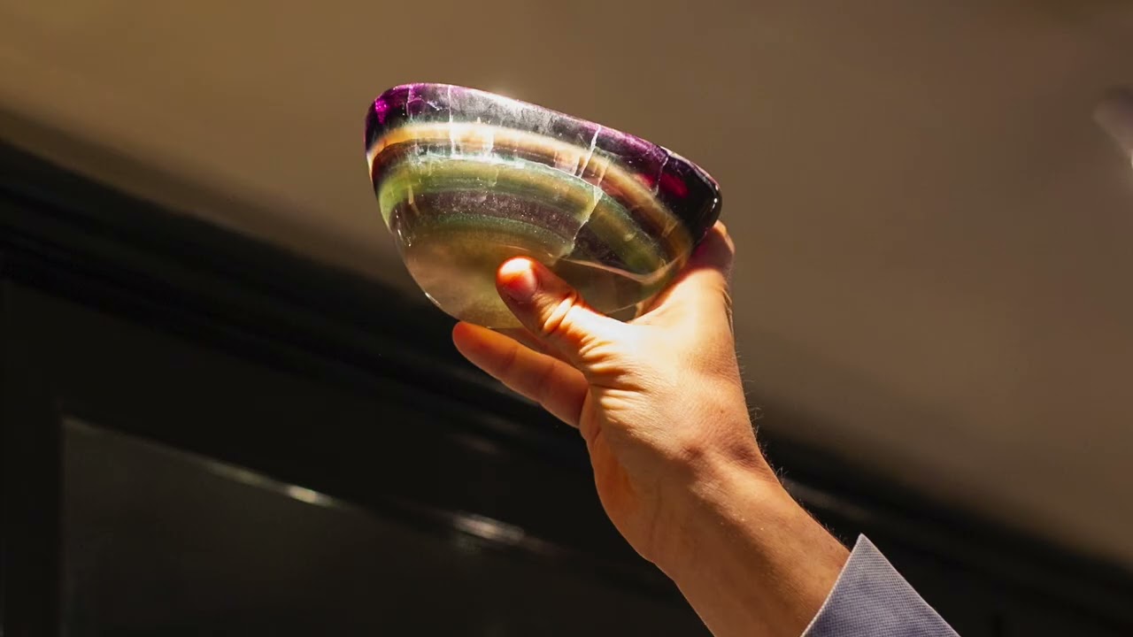 1stDibs 25th Anniversary | Explore a Cabinet of Curiosities