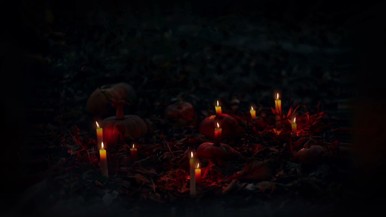 Burning Candles in the Woods 🪦🕯 — Eery Halloween Ambience 🍁