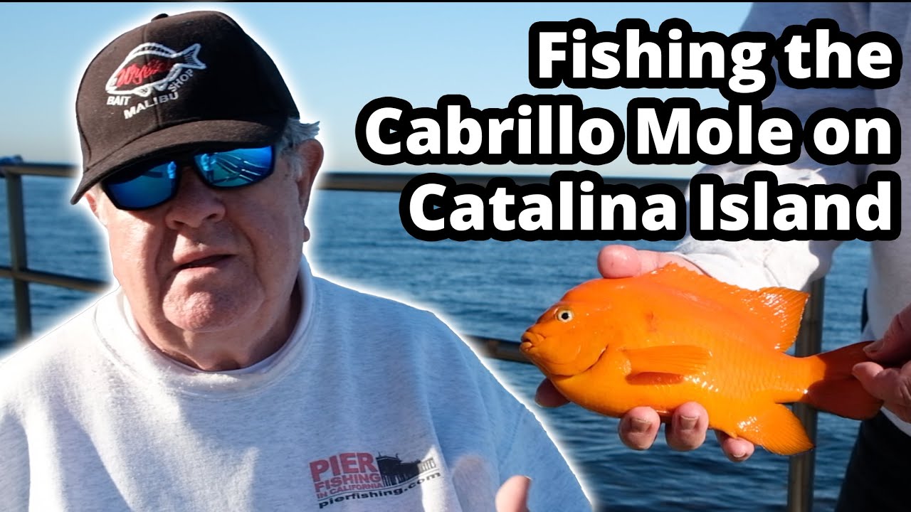 Cabrillo Mole and Fishing, Catalina Island - Pier Fishing in California