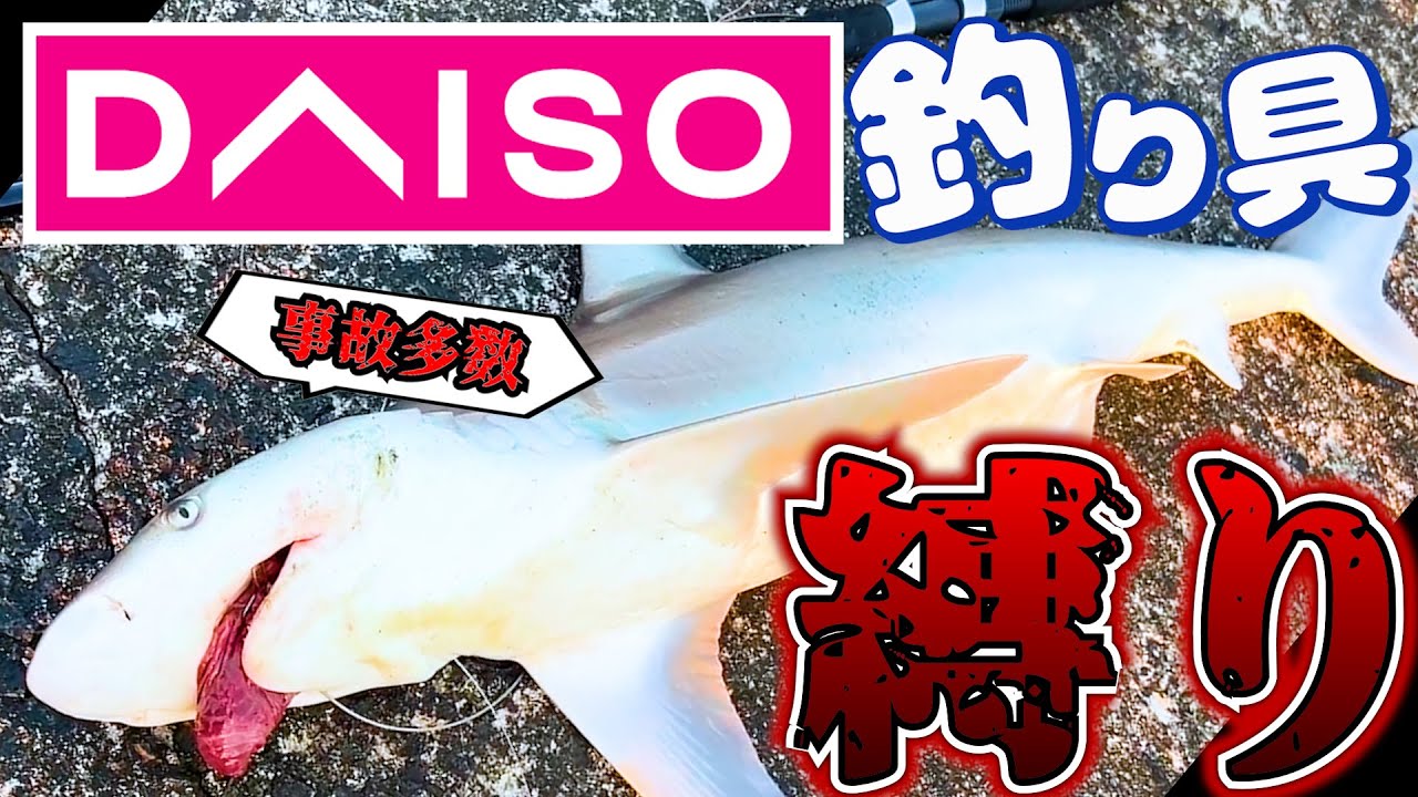 ダイソー縛りでサメとか色々釣ってみた #ヘビさんのアウトドア日誌
