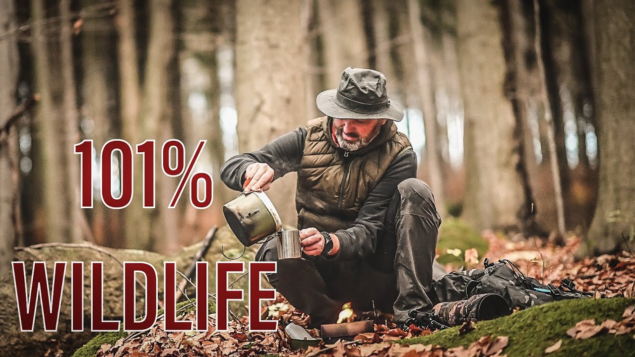 Wildlife - Photography - great spotted woodpecker | Nature | Bushcraft | Bird | Forest |Short Film