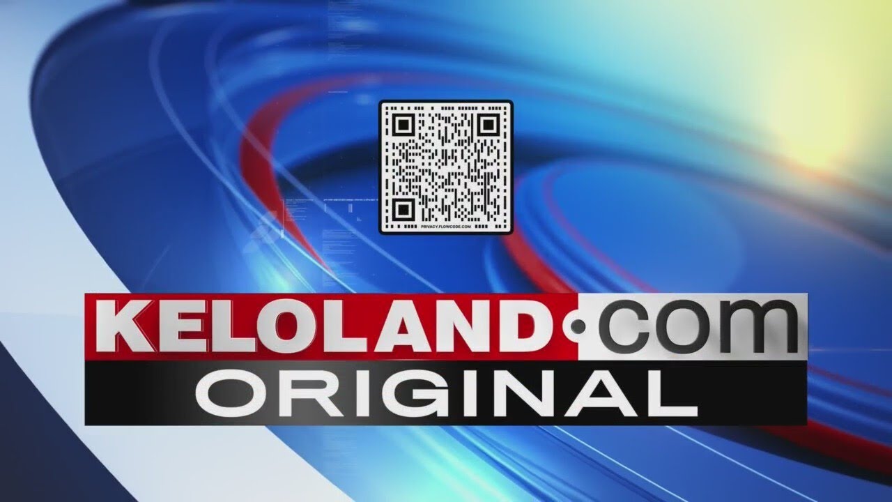 SB82 aims to prevent service dog misrepresentation