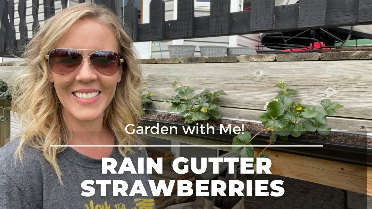 The GOOD & BAD of Growing in a Rain Gutter Planter for Strawberries 🍓