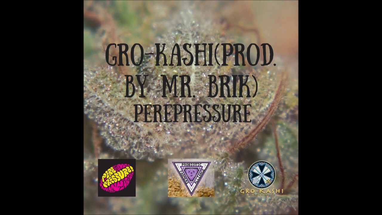 Perepressure-Gro-Kashi(Prod. by Mr. Brik)